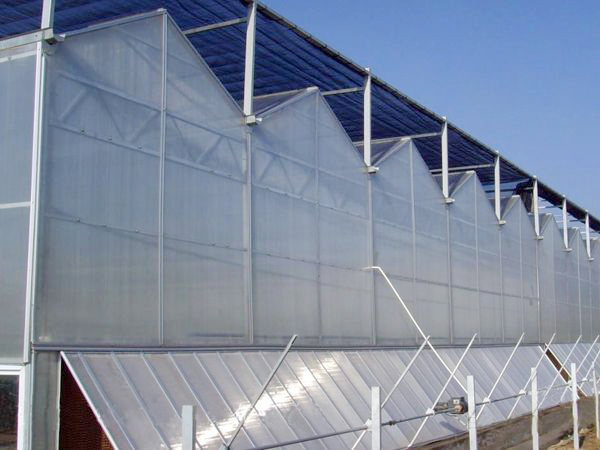 陽光板/PC板溫室大棚